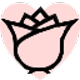 w_rose
