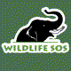 Wildlife SOS Avatar