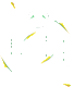 wishoutdoorfestival