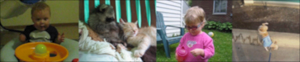 Funny Gifs Get The Best Gif On Giphy