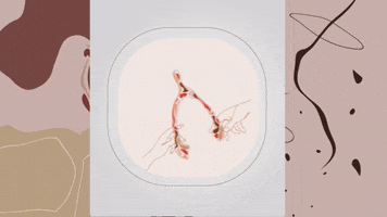 ladeees GIF