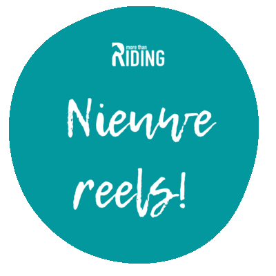 MoreThanRiding Sticker