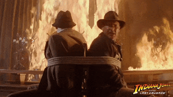 Harrison Ford What GIF by Indiana Jones