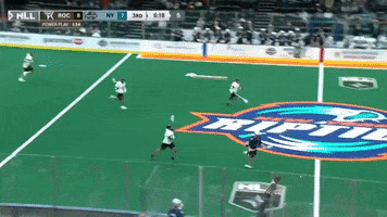 New York GIF