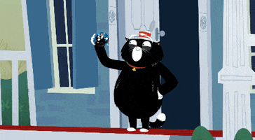 King Tubby Cats GIF by Kitty Is Not A Cat