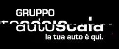 Gruppo Auto Scala GIF