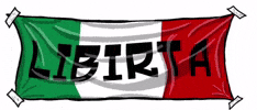 Mouloudia Virage Sud GIF
