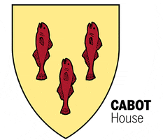 Harvard Alumni Cabot GIF by Harvard Alumni Association
