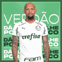 Felipe Melo Soccer GIF by SE Palmeiras