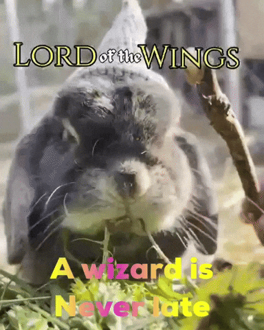 Gandalf GIF