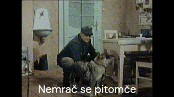 Poslušně Hlásím GIF