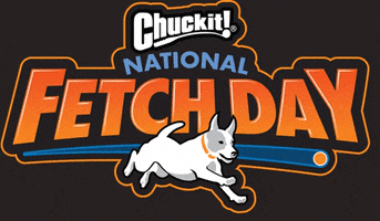 ChuckitFetchGames nfd chuckit nationalfetchday GIF