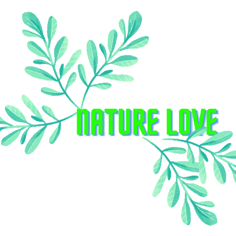 Google Panel Sticker