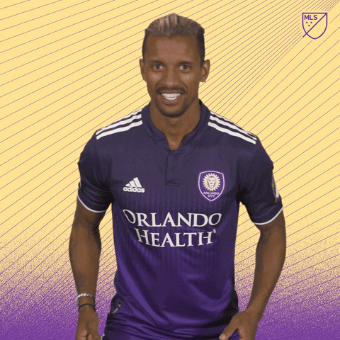 Lets Go Yes GIF by Major League Soccer