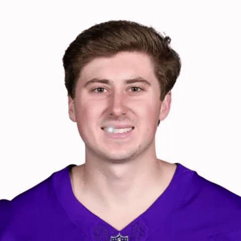 Will Minnesota Vikings GIF