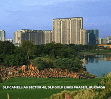 Dlf Camellias Gurgaon GIF