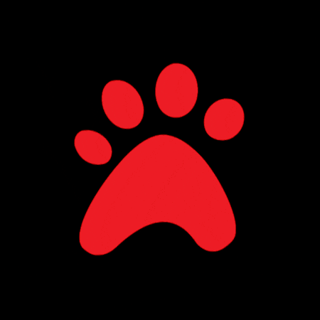 Doggrooming Petsofinstagram GIF by Salty Dawg Pet Salon + Bakery