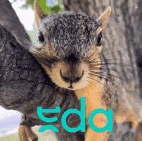 GIF by Asociación Argentina de Editorxs audiovisuales