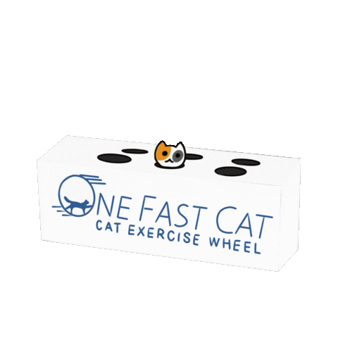 K9 Ballistics | One Fast Cat Sticker