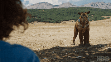 Hbo Creature GIF by His Dark Materials