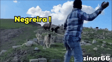 Dog Fans GIF
