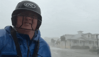 Florida Wind GIF by GIPHY News