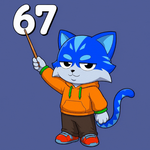 Cat Zoomer GIF by Toshithecat