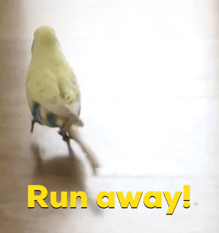 Run GIF