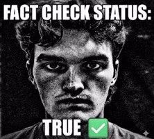 Fact Check GIF by Reserve it