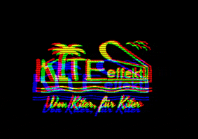 KITE_effekt beachlife kitesurfen kite effekt kiteboarden GIF