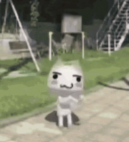 Cat GIF