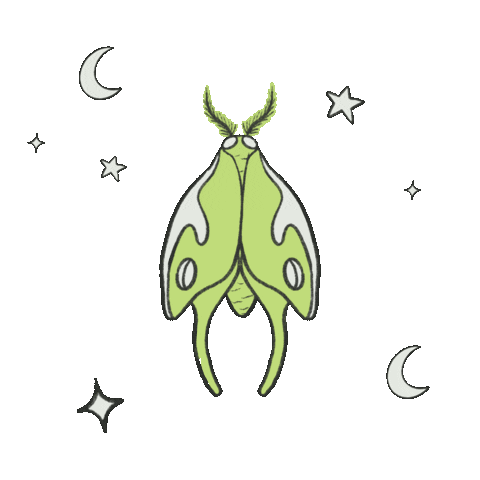 Halloween Sticker