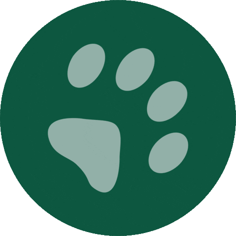 VirtusPet Sticker