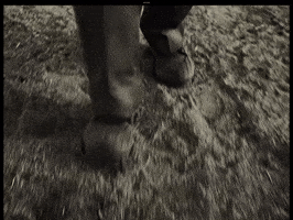 Tyler The Creator GIF