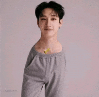 Stray Kids Bangchan GIF