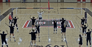 Ymca GIF by Brown Volleyball