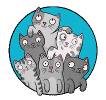 Cat Sticker
