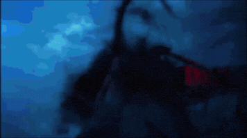 Berserker Fate GIF