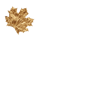 KRESS Sticker