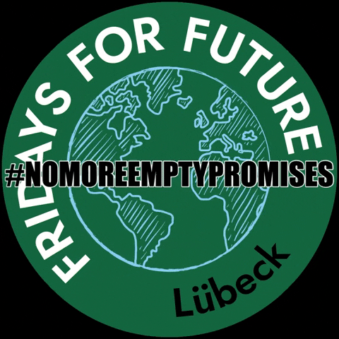 Luebeck GIF by Fridays for Future Lübeck
