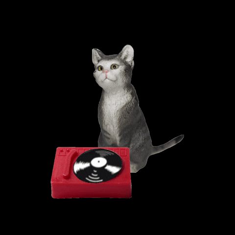 ccminifactory cat dj kitten record GIF