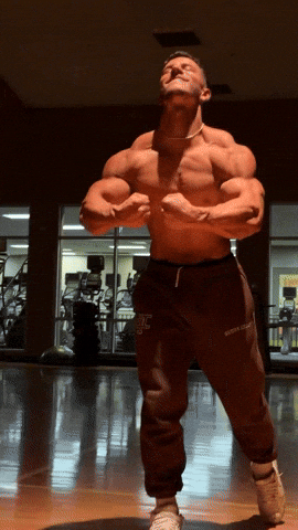 Animated GIF - Find & Share on GIPHY
