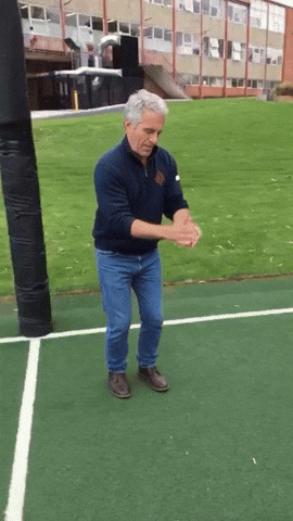 Jeffrey Epstein Ai GIF