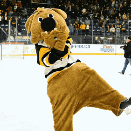 Hockey Win GIF by Brantford Bulldogs