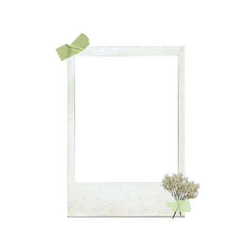 New Post Frame Sticker