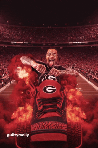 Georgia Football Flight GIF
