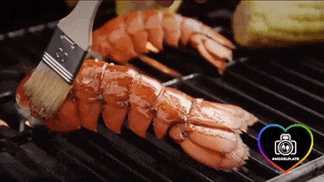 Bbq Lobster GIF by Model Plate