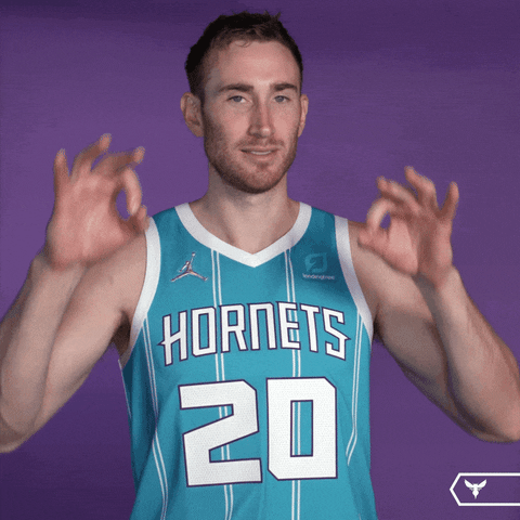 1 2 3 Sport GIF by Charlotte Hornets