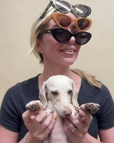 Wiener Dog Sunglasses GIF by beangoods