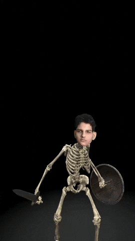 Yolo GIF